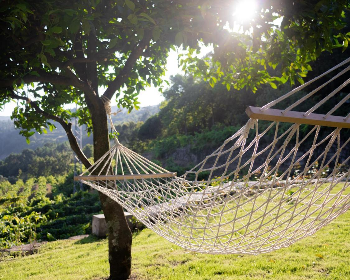 Quinta Do Tapadinho - Wine & Tourism Villa Moimenta Екстериор снимка
