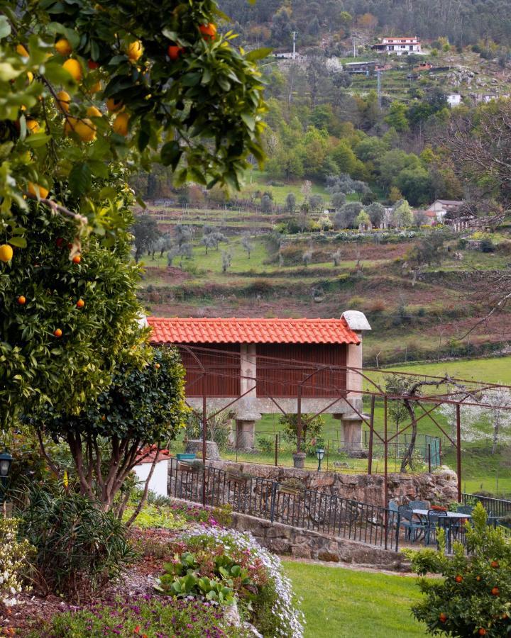 Quinta Do Tapadinho - Wine & Tourism Villa Moimenta Екстериор снимка
