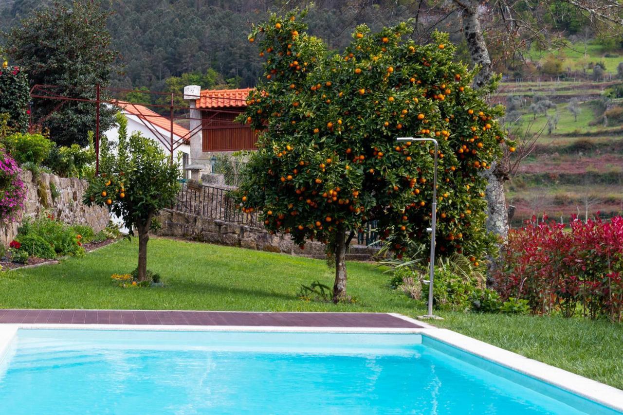 Quinta Do Tapadinho - Wine & Tourism Villa Moimenta Екстериор снимка