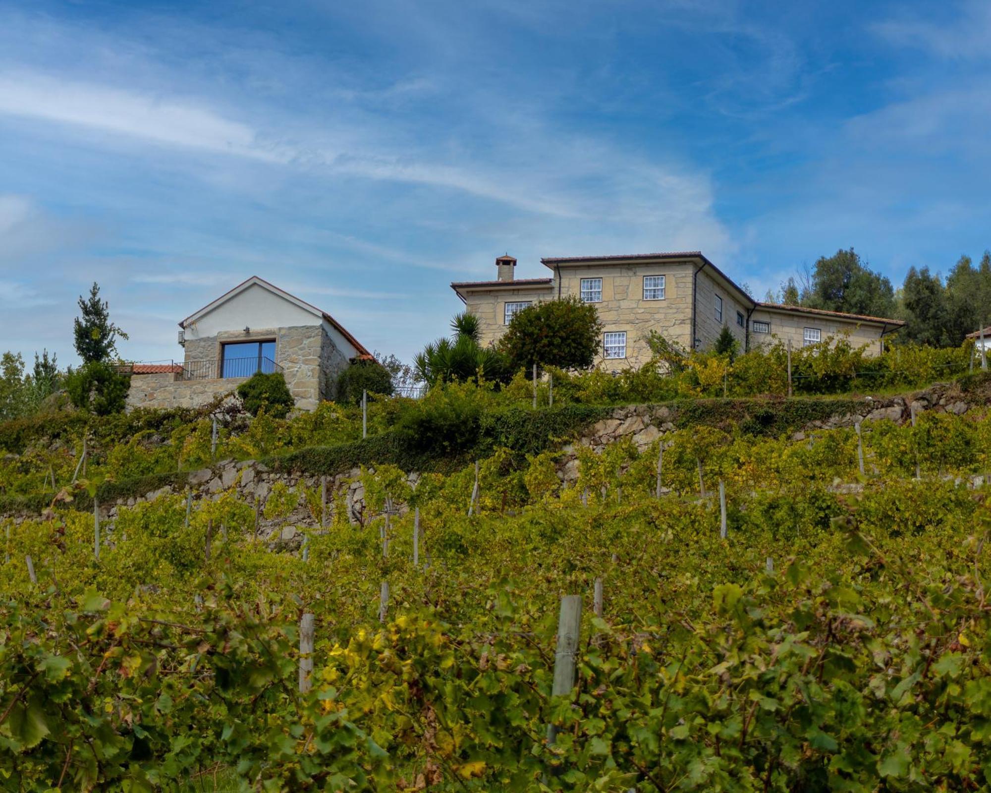 Quinta Do Tapadinho - Wine & Tourism Villa Moimenta Екстериор снимка