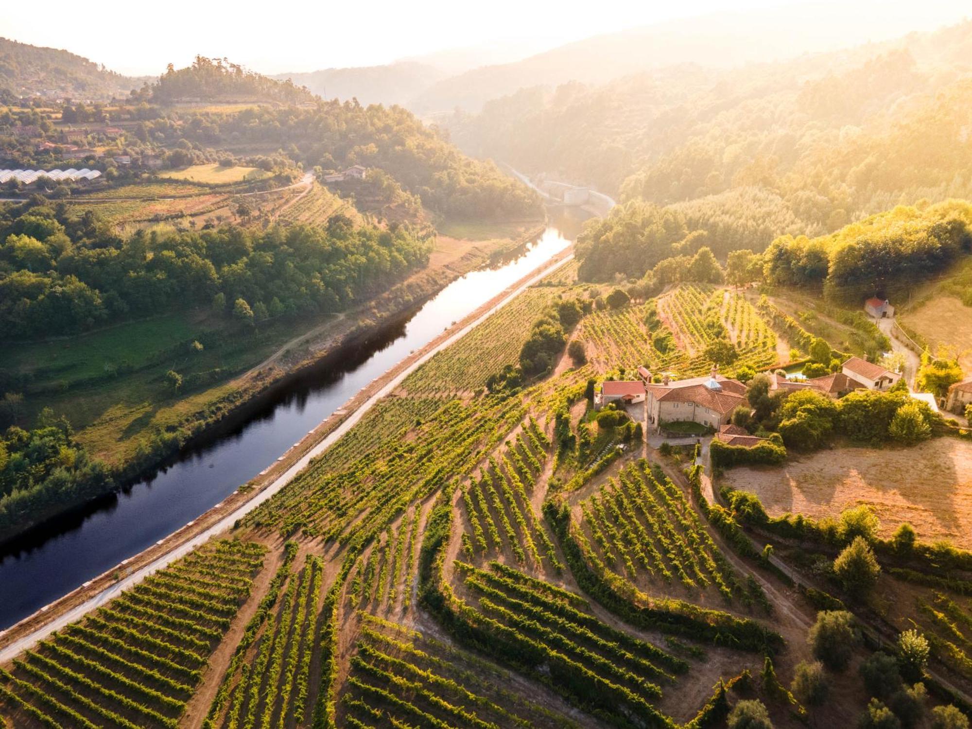 Quinta Do Tapadinho - Wine & Tourism Villa Moimenta Екстериор снимка